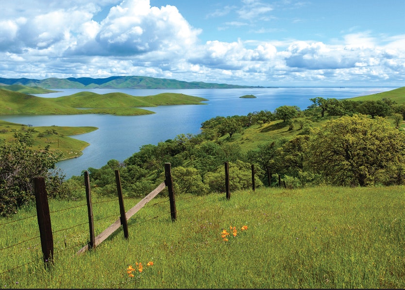 Rolling green hills, a lake, clouds, a fence, and some orange flowers in the foreground.