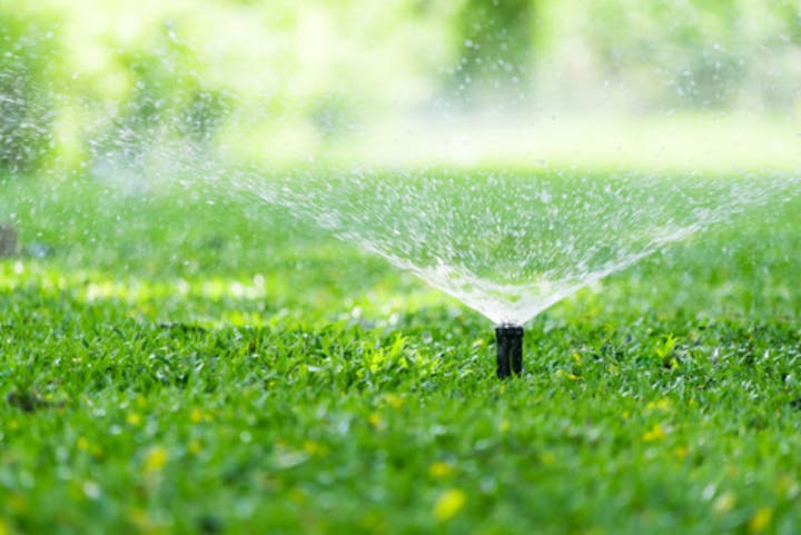 A garden sprinkler watering lush green grass on a sunny day.