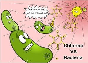 artwork chlorine vs. bacteria