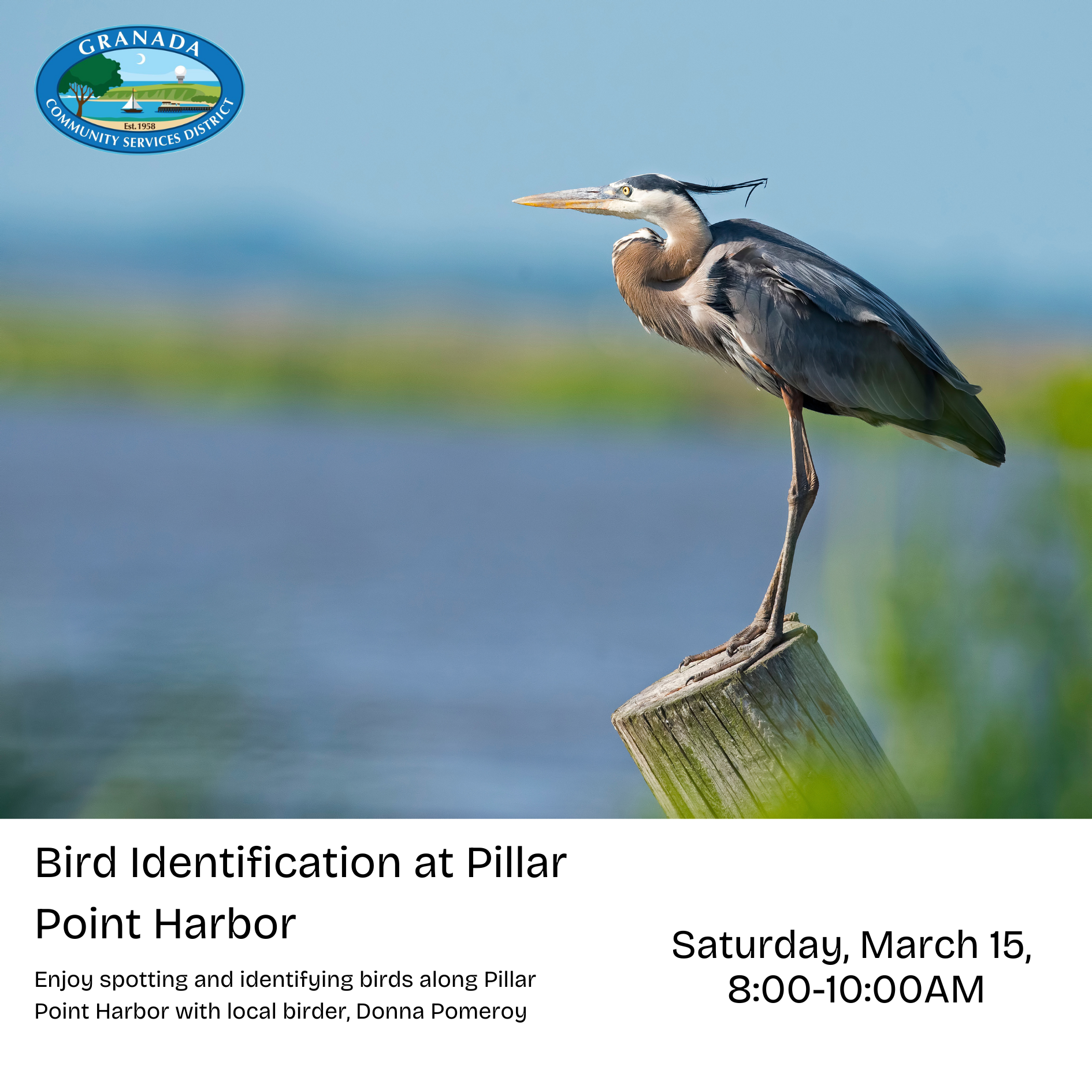 Heron on a post, bird identification event at Pillar Point Harbor, March 15, 8-10 AM with birder Donna Pomeroy.