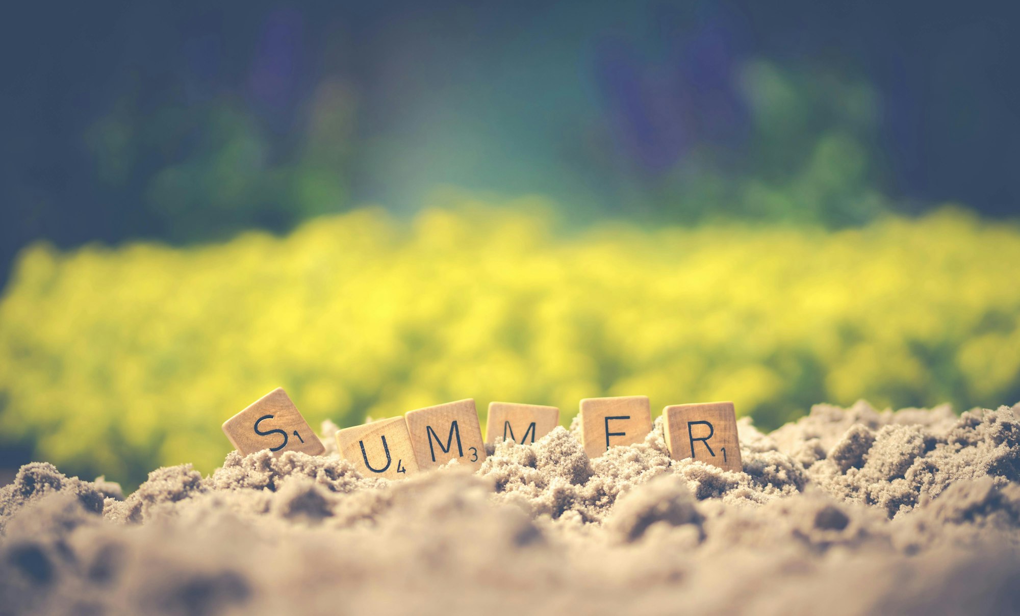 Wooden tiles spelling "SUMMER" in sand with a blurry green and yellow background.