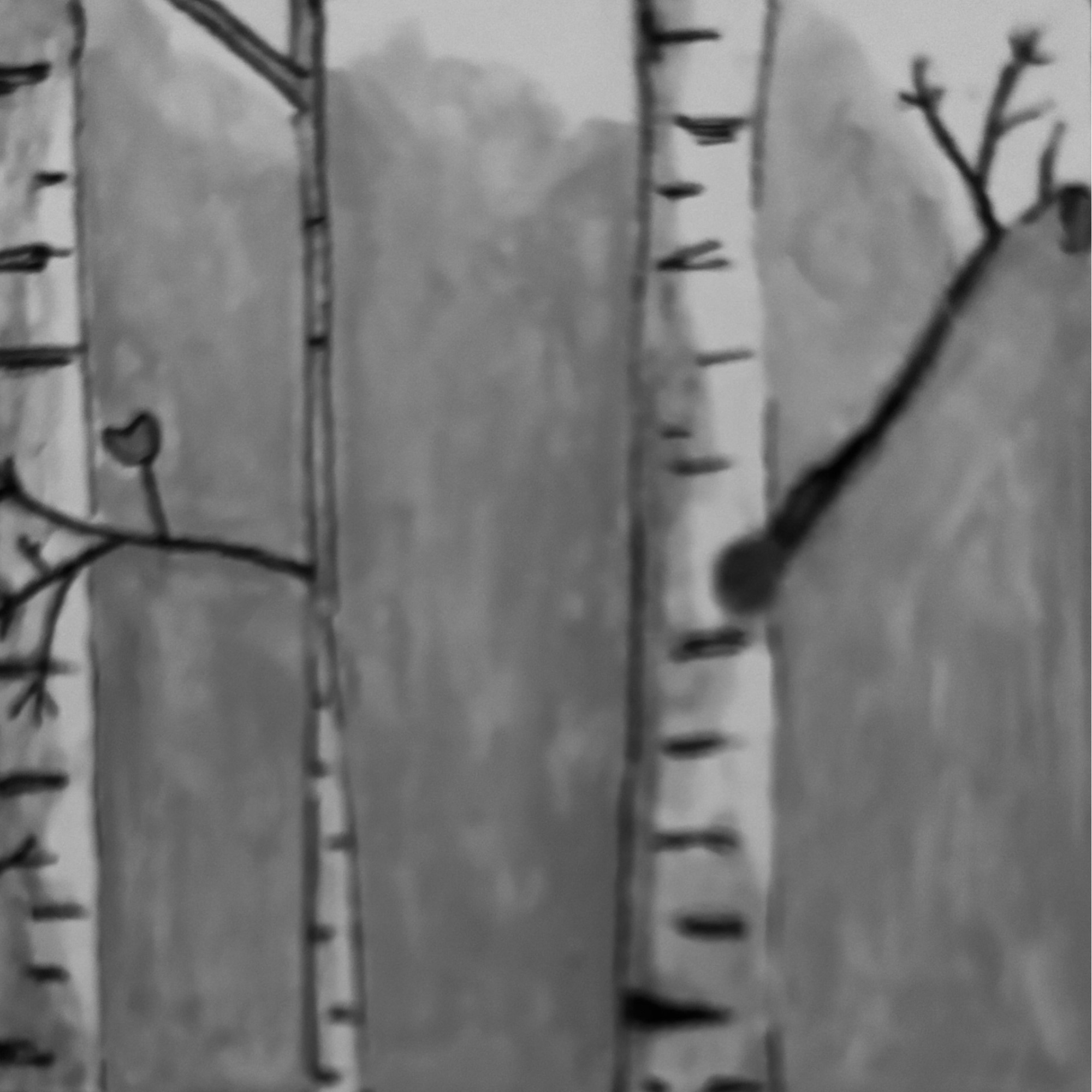 Black and white drawing of birch trees with a small bird perched on a branch.