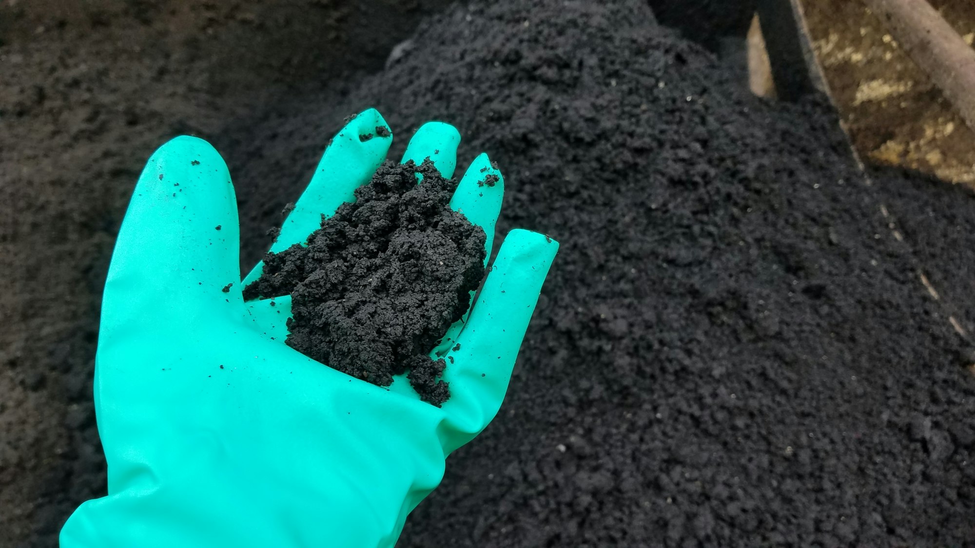 Gloved hand holding biosolids. Biosolids in background.