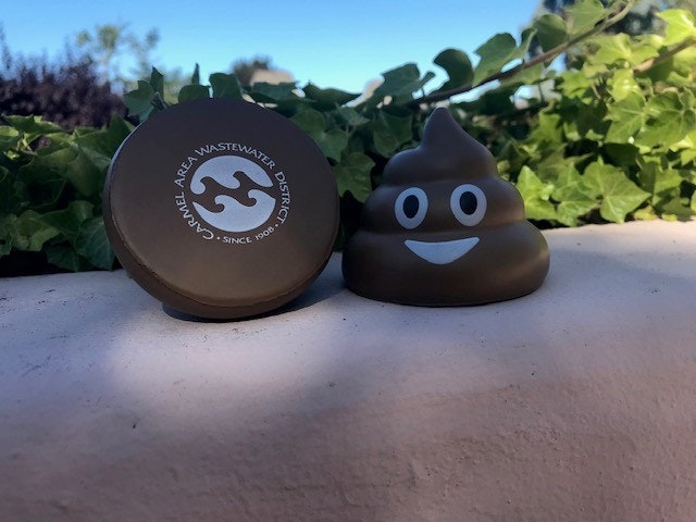 Poop emoji/CAWD mascot