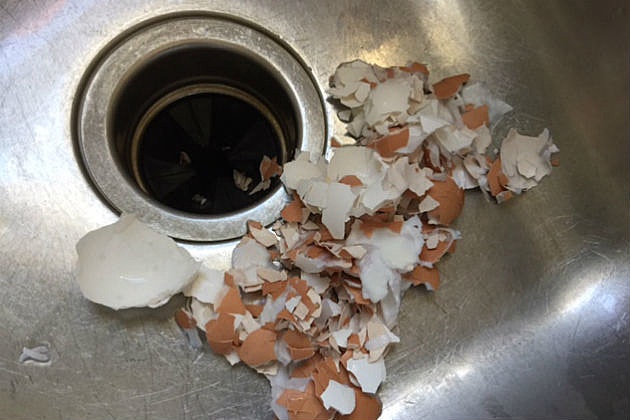 Eggshells in sink