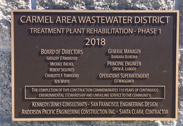 May contain: plaque