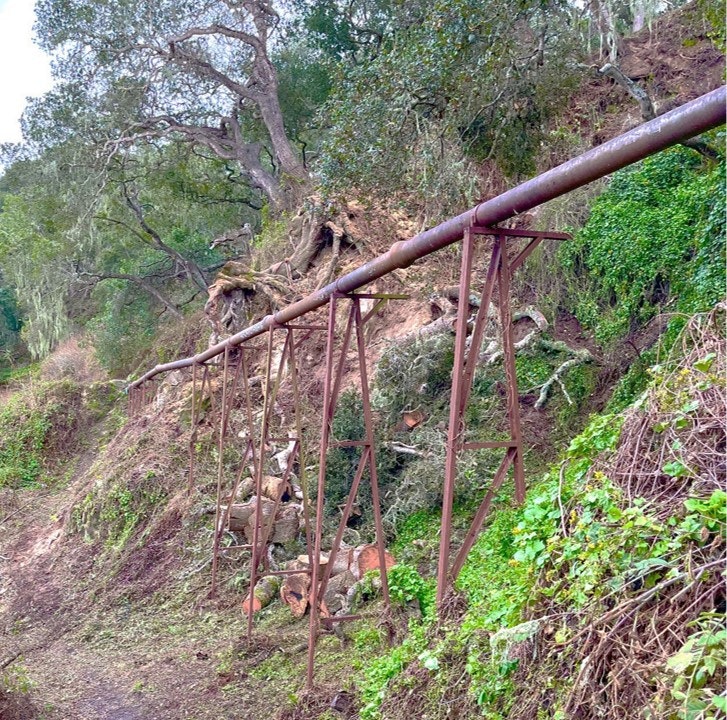 A rusty pipe supported by metal structures runs along a wooded hillside with fallen trees and greenery.