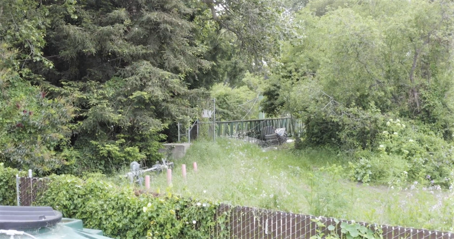 May contain: vegetation, plant, outdoors, yard, nature, tree, garden, woodland, land, and forest