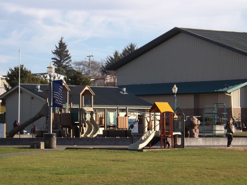 May contain: grass, plant, person, human, playground, and play area