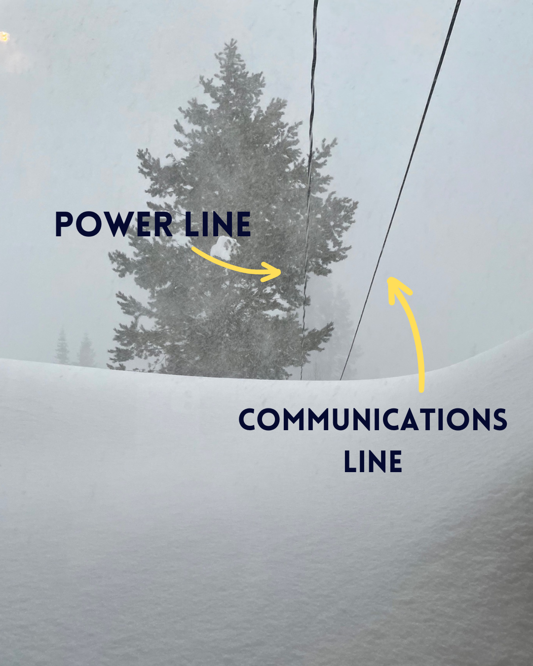 The image shows a snowy scene with a tree and two lines labeled as "Power Line" and "Communications Line."