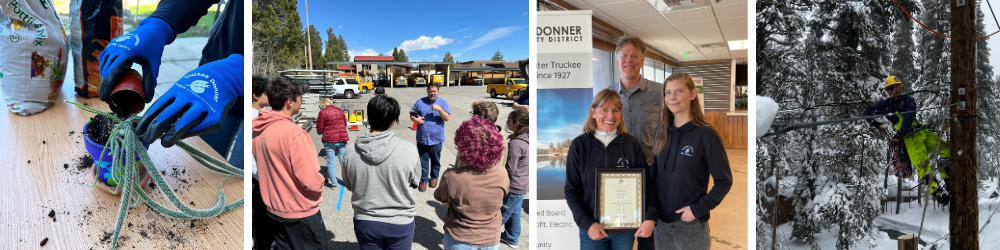 The image showcases community activities: planting, a group discussion, award presentation, and tree maintenance work.