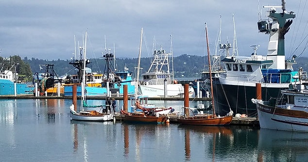 A marina with various boats and clear skies.