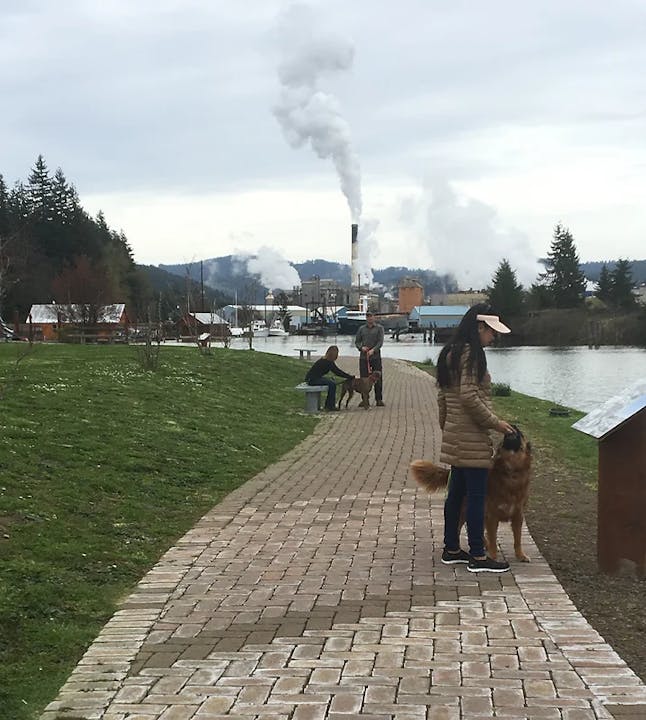 People and a dog on a pathway with industrial smokestacks emitting smoke in the background.