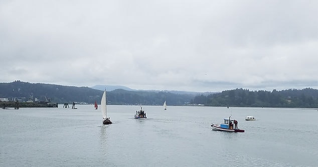 Sailboats and a tugboat on a calm water surface with overcast skies and distant hills.