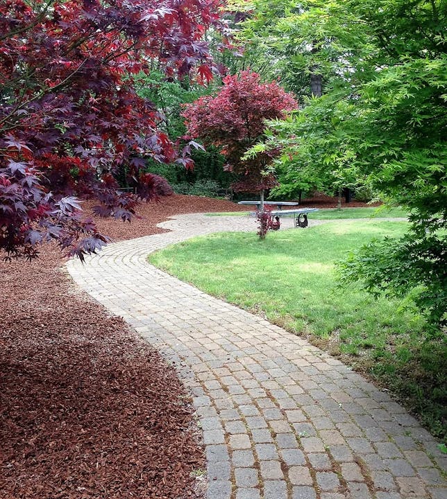 A winding cobblestone path through a lush garden with red and green foliage and a bench in the background.