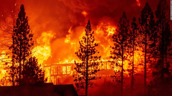 A forest fire engulfs trees and a structure in intense flames and smoke, with an orange-red glow dominating the scene.