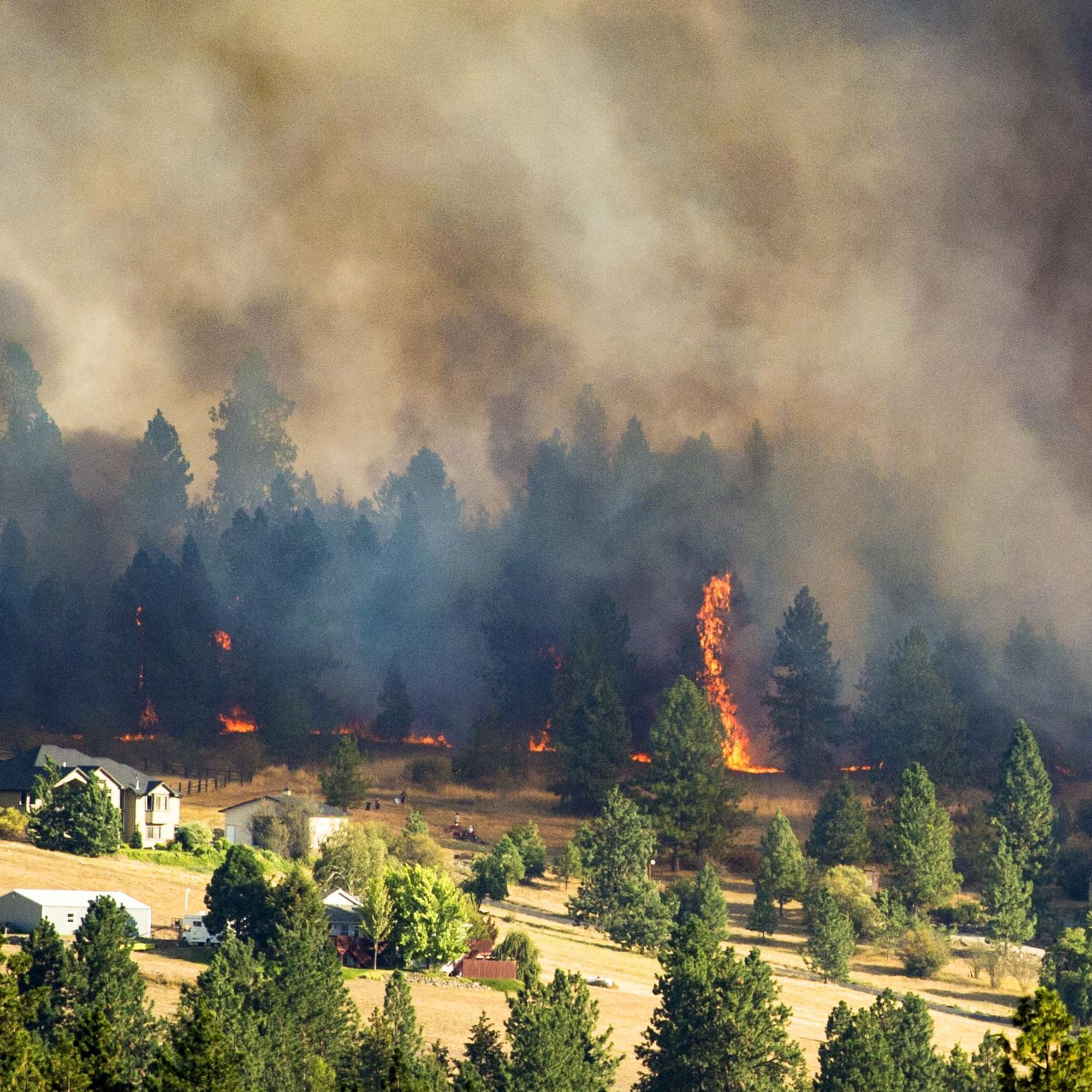 Forest fire near residential area, heavy smoke and flames visible among trees.