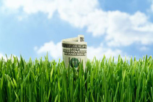 A rolled-up dollar bill in green grass against a blue sky background.