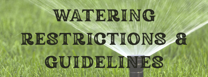 The image features text that states "WATERING RESTRICTIONS & GUIDELINES" over a grassy background with a sprinkler.