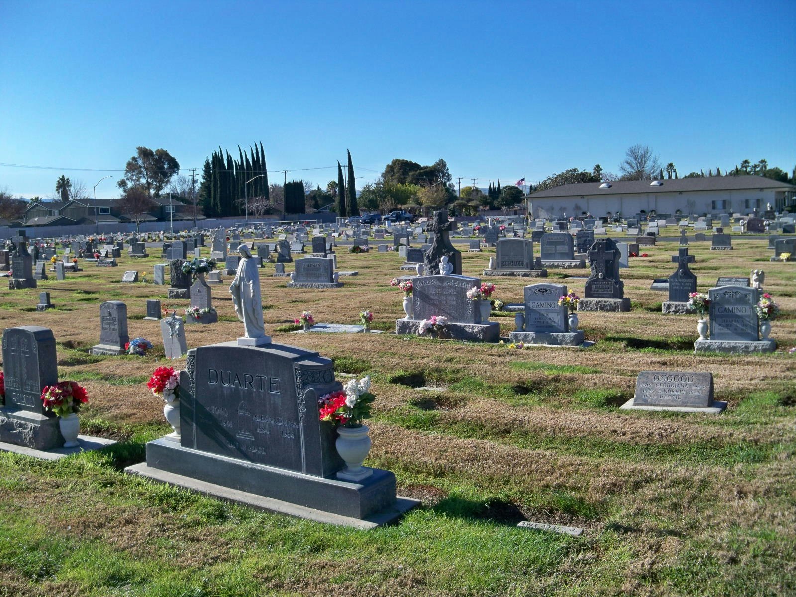 A cemetery with tombstones and flowers under a clear blue sky.