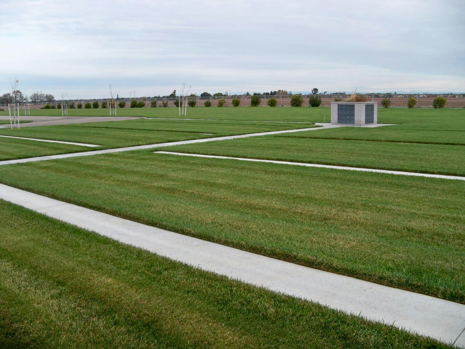 A large, manicured lawn with intersecting concrete paths and a small structure in the center, surrounded by young trees.