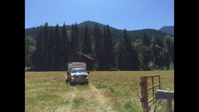 May contain: transportation, truck, vehicle, plant, tree, vegetation, outdoors, land, nature, and woodland