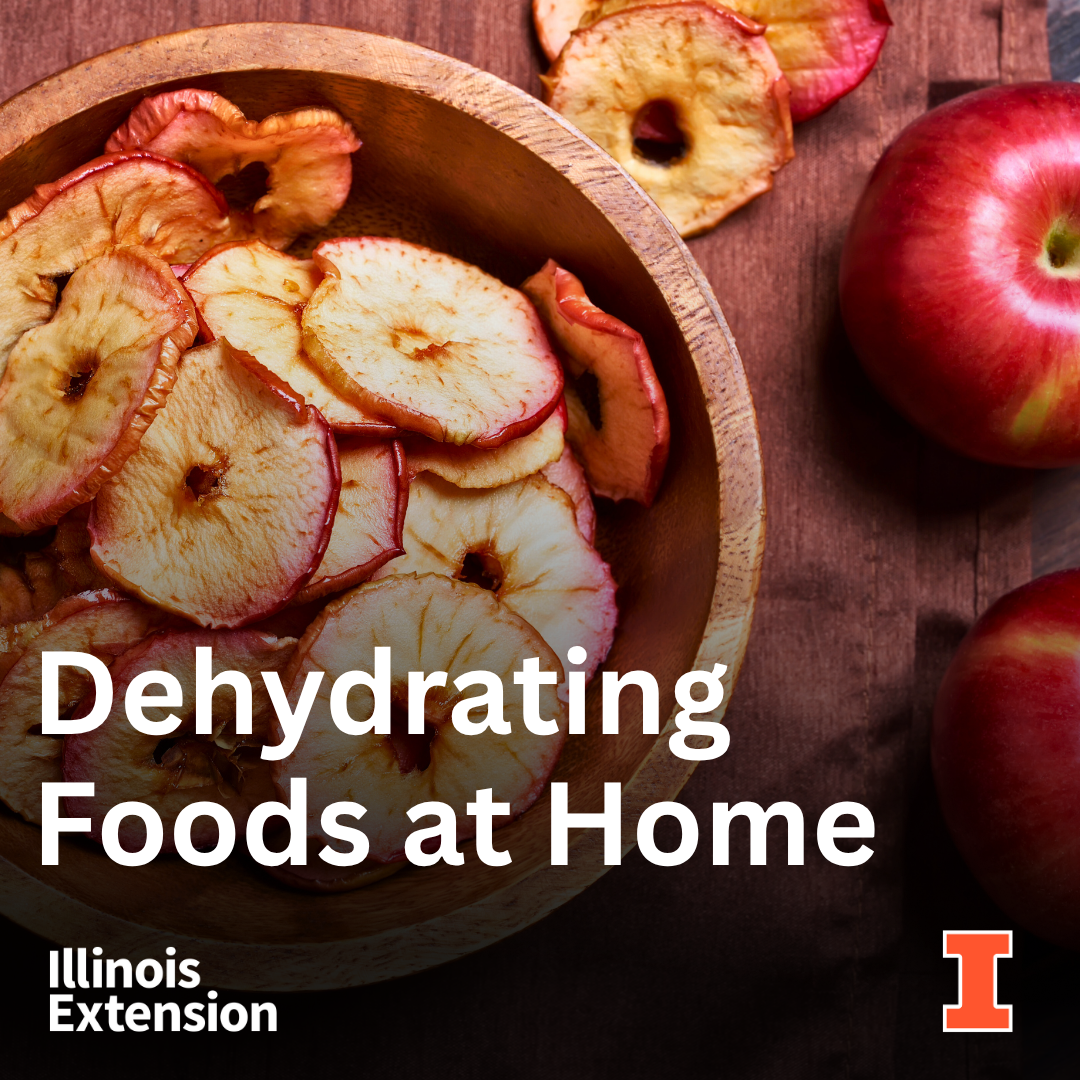 The image features dehydrated apple slices in a wooden bowl, along with fresh apples, promoting dehydrating foods at home.