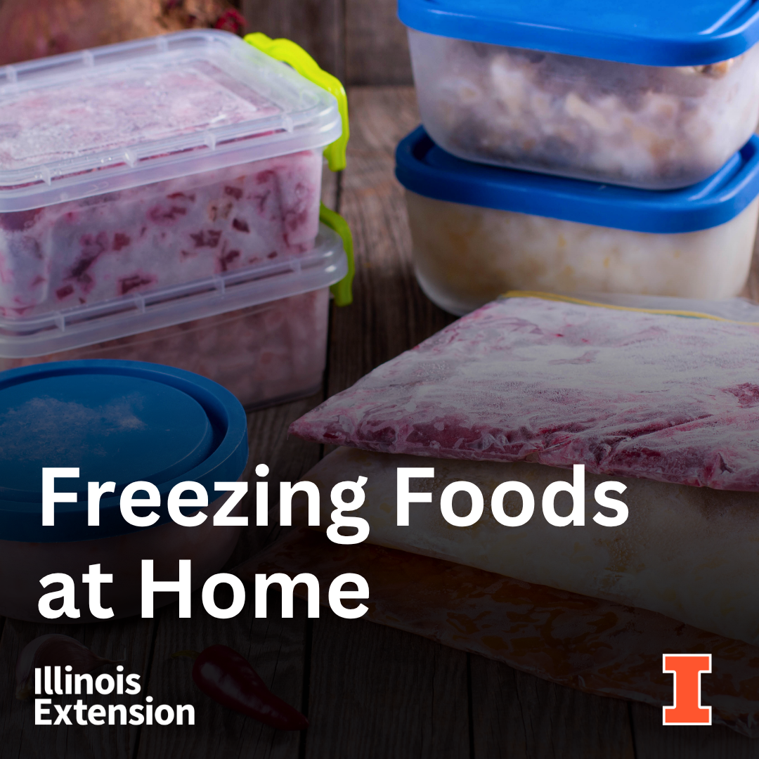 The image showcases various containers and bags of frozen food, with a title about freezing foods at home and branding from Illinois Extension.