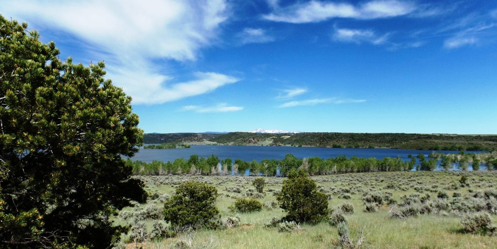 Photo of Mcphee Reservoir