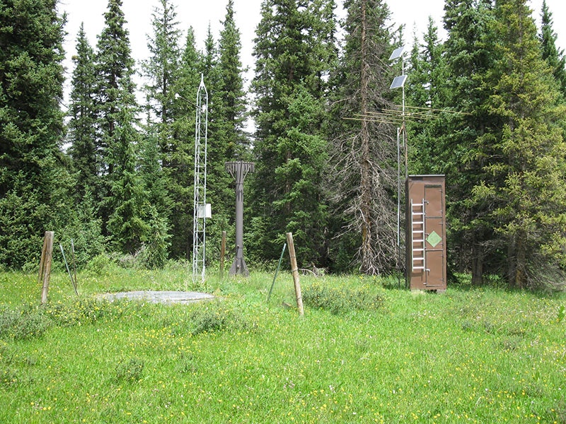 Photo of trees and antennae