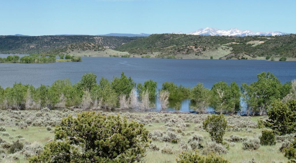 Photo of Mcphee Reservoir