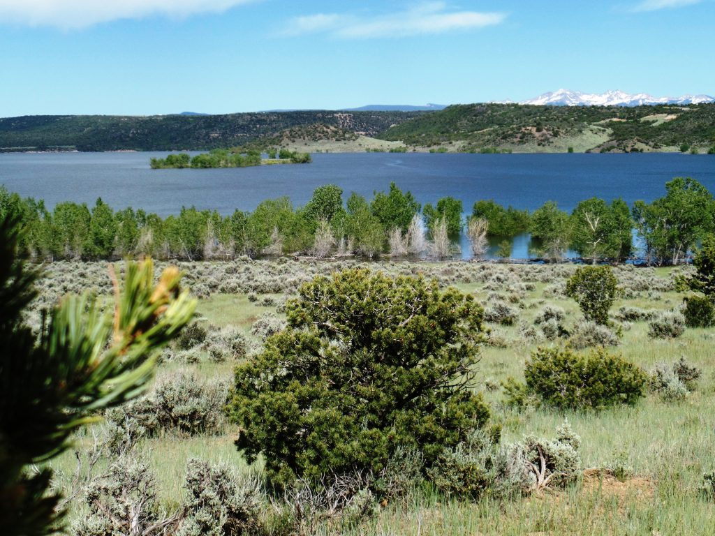 Photo of Mcphee Reservoir
