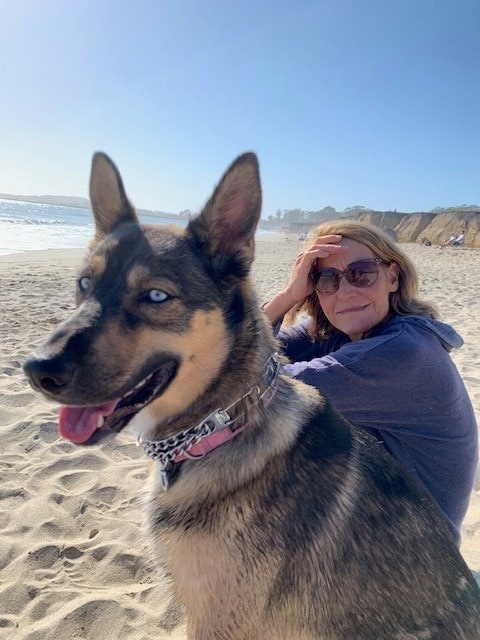 May contain: face, head, person, photography, portrait, accessories, glasses, adult, female, woman, beach, coast, nature, outdoors, sea, shoreline, water, animal, canine, dog, mammal, pet, sunglasses, german shepherd, and puppy