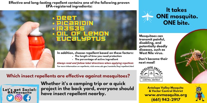 May contain: advertisement, flyer, paper, brochure, poster, human, person, invertebrate, arachnid, spider, animal, and text