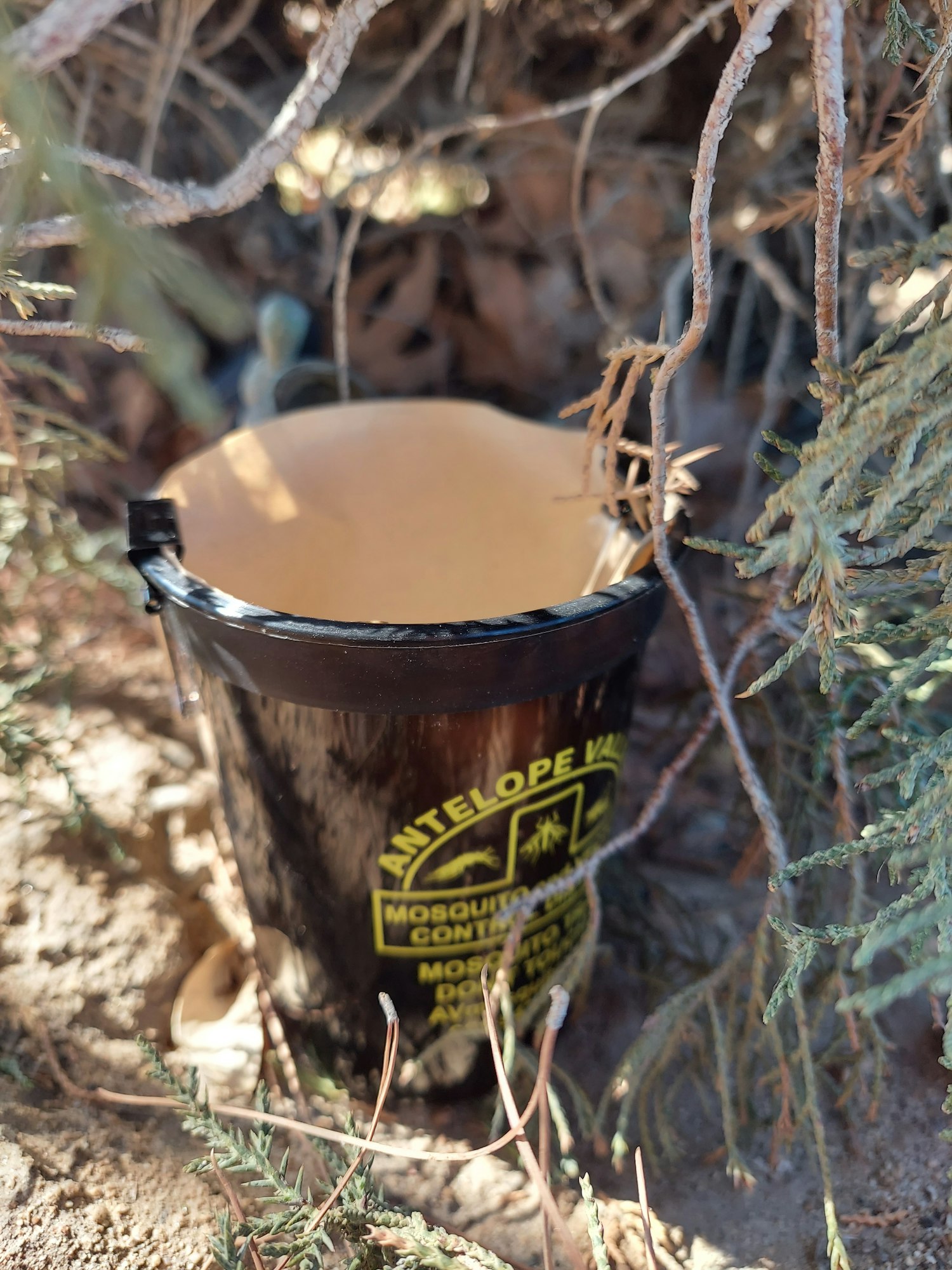 May contain: bucket