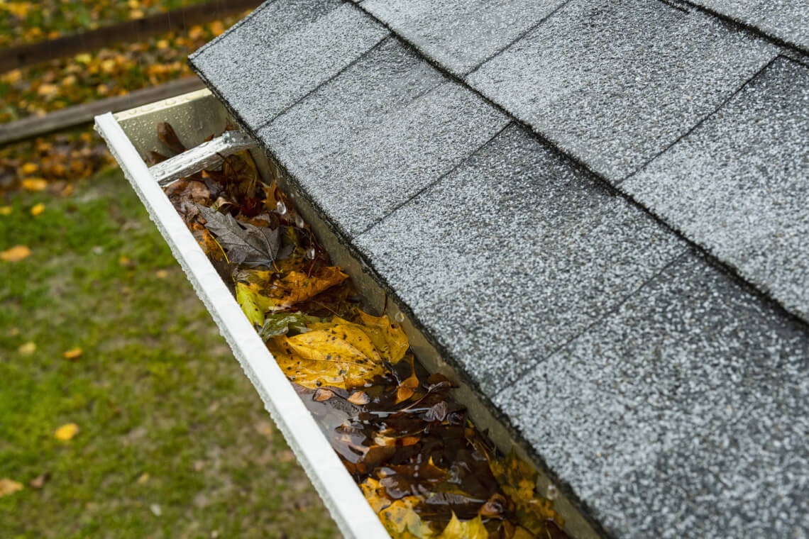clogged roof gutter holding standing water