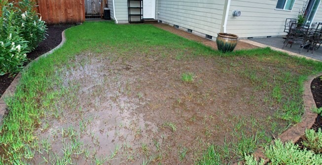 Yard that is improperly irrigated