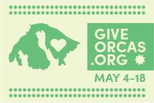 May contain: animal, bear, mammal, and wildlife