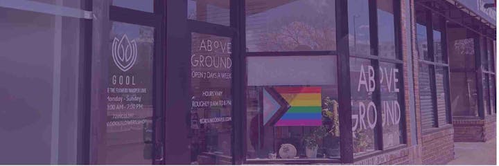 Storefront with "Above Ground" text, a progressive Pride flag in the window, and store details listed on the glass.
