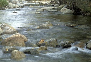 May contain: stream, nature, outdoors, water, creek, and rock