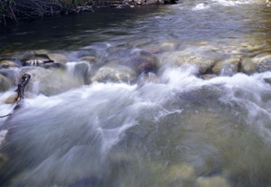 May contain: stream, nature, outdoors, water, and creek