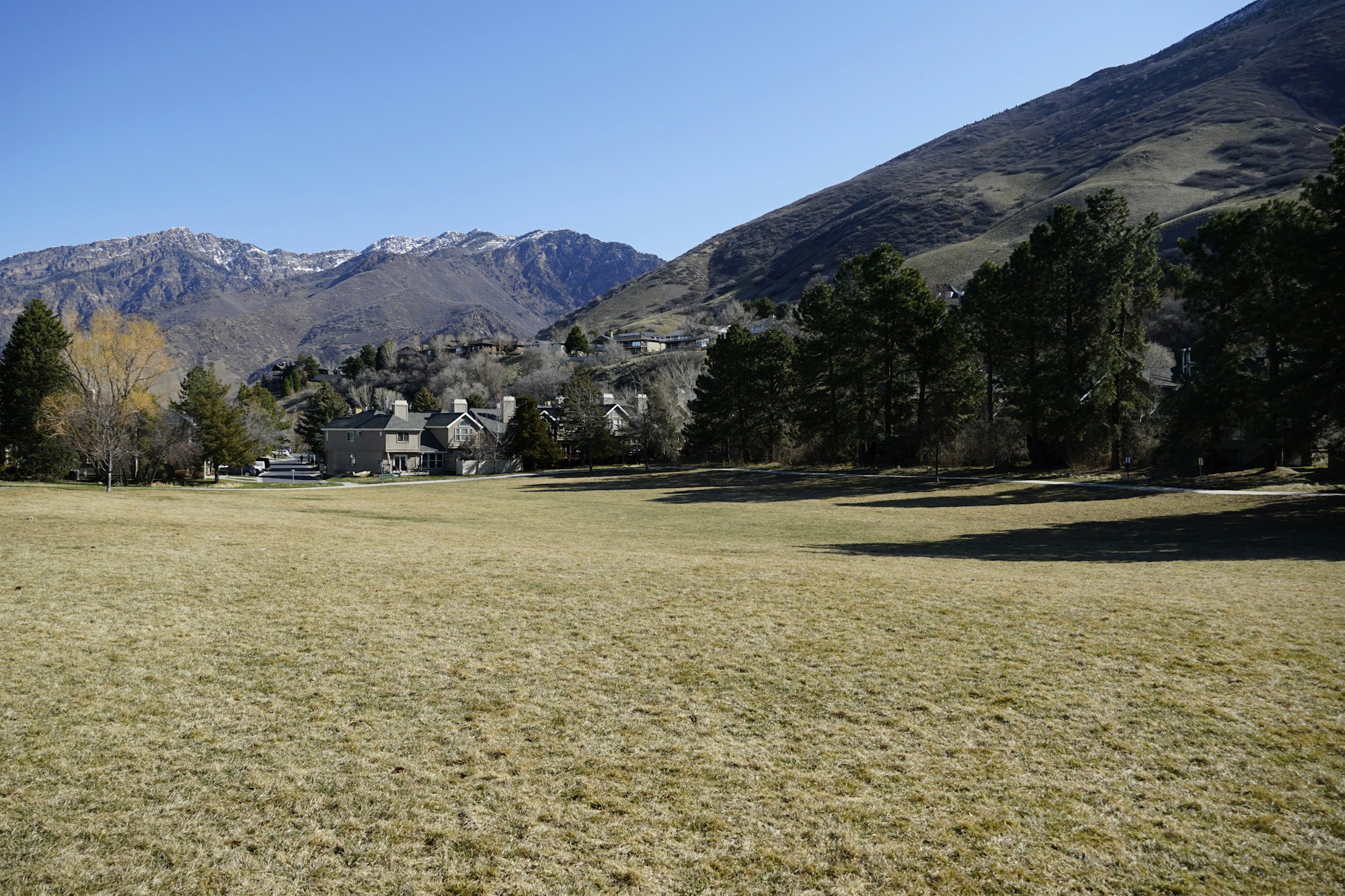 May contain: fir, plant, tree, grass, nature, outdoors, plateau, field, grassland, scenery, mountain, and mountain range