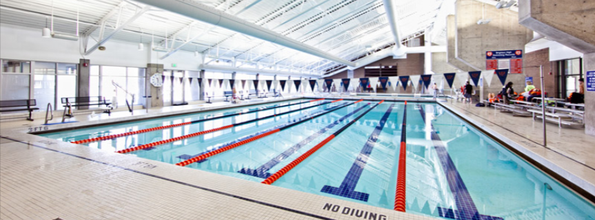 May contain: pool, water, swimming pool, leisure activities, person, sport, swimming, water sports, and outdoors