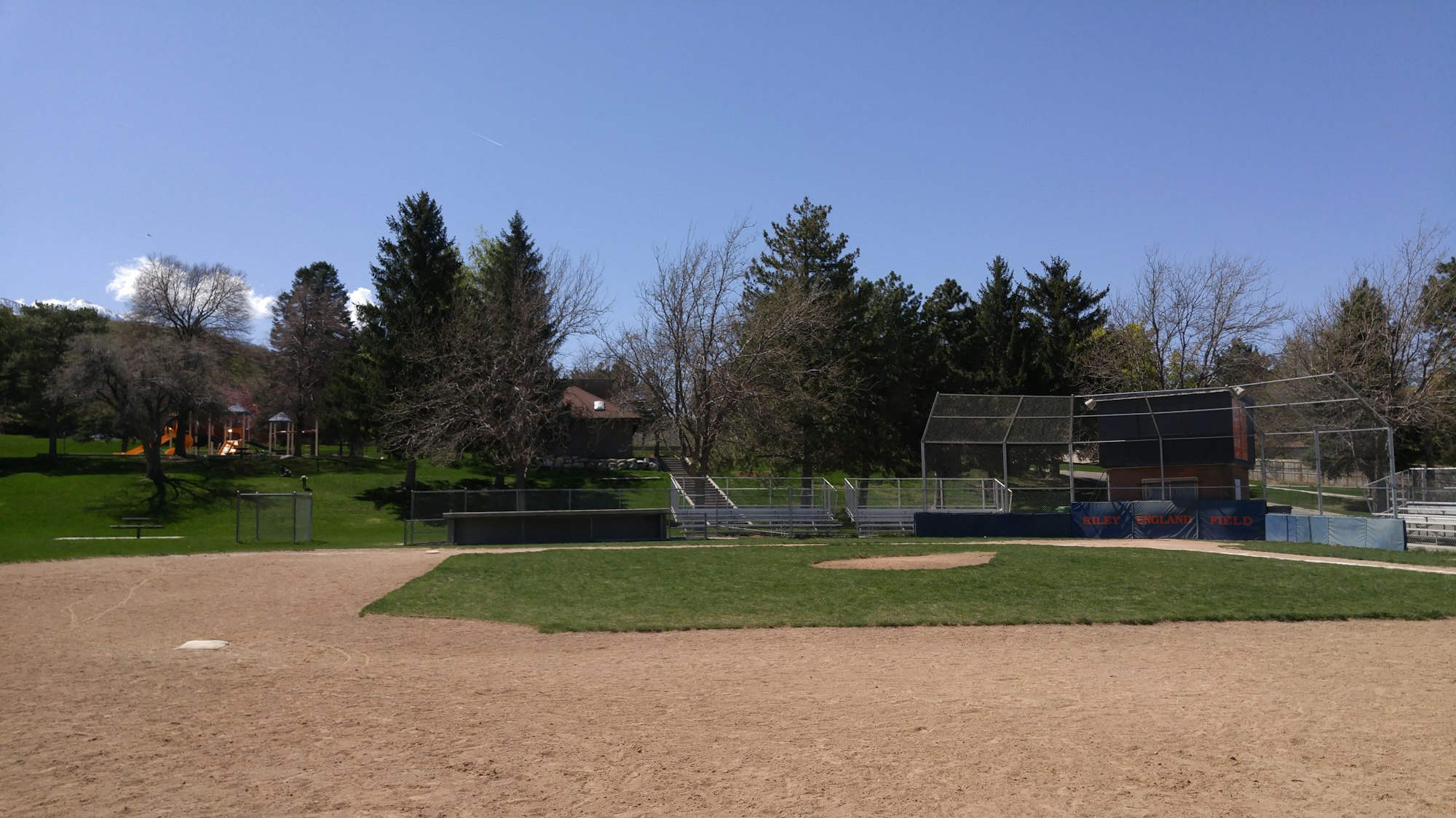 May contain: people, person, grass, plant, tree, nature, outdoors, park, fir, and field