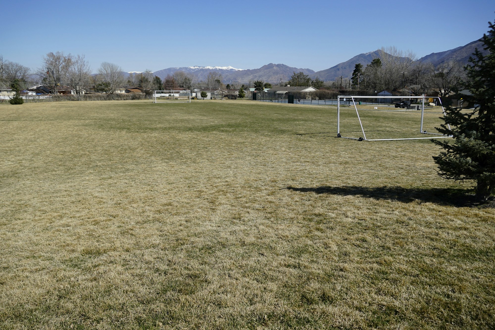 May contain: grass, plant, tree, field, fir, nature, outdoors, park, ground, grassland, lawn, car, transportation, and vehicle