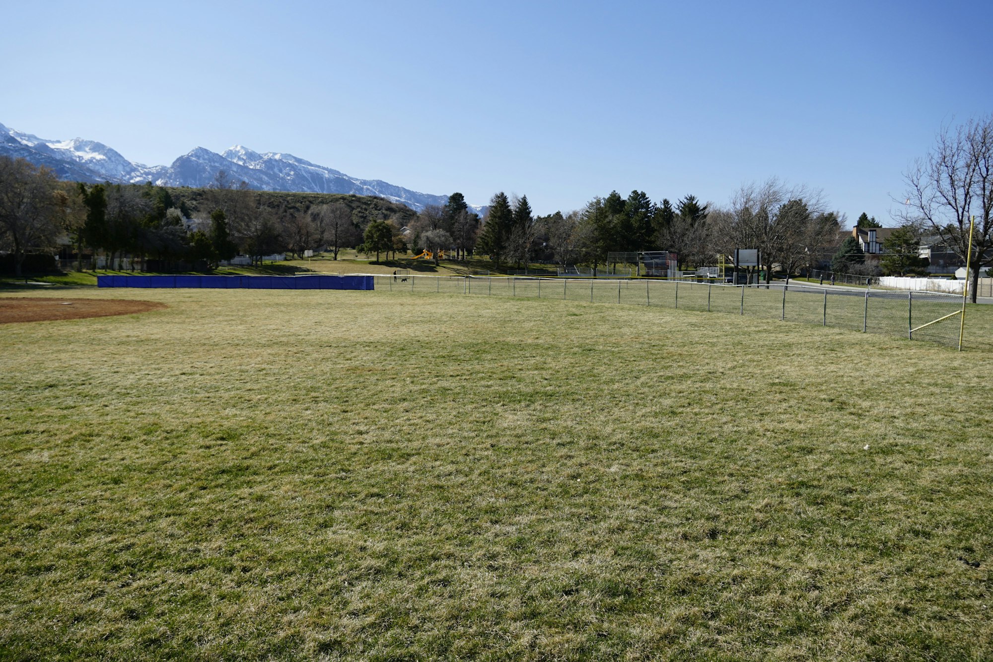 May contain: grass, plant, field, grassland, nature, outdoors, lawn, and park