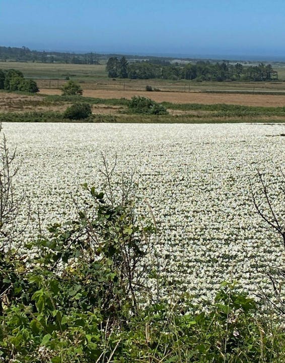 May contain: land, nature, outdoors, and ground