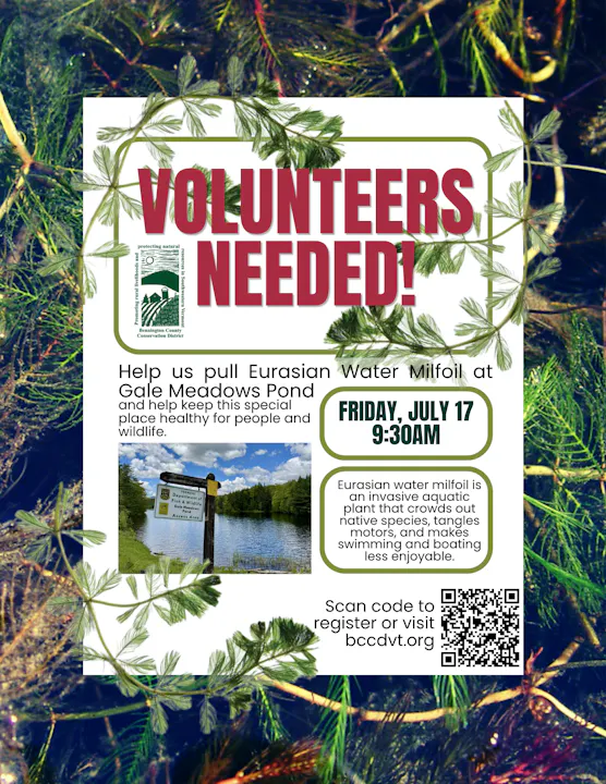 Volunteers needed to remove Eurasian Water Milfoil at Gale Meadows Pond on July 17 at 9:30 AM. Register at bccdv.org.