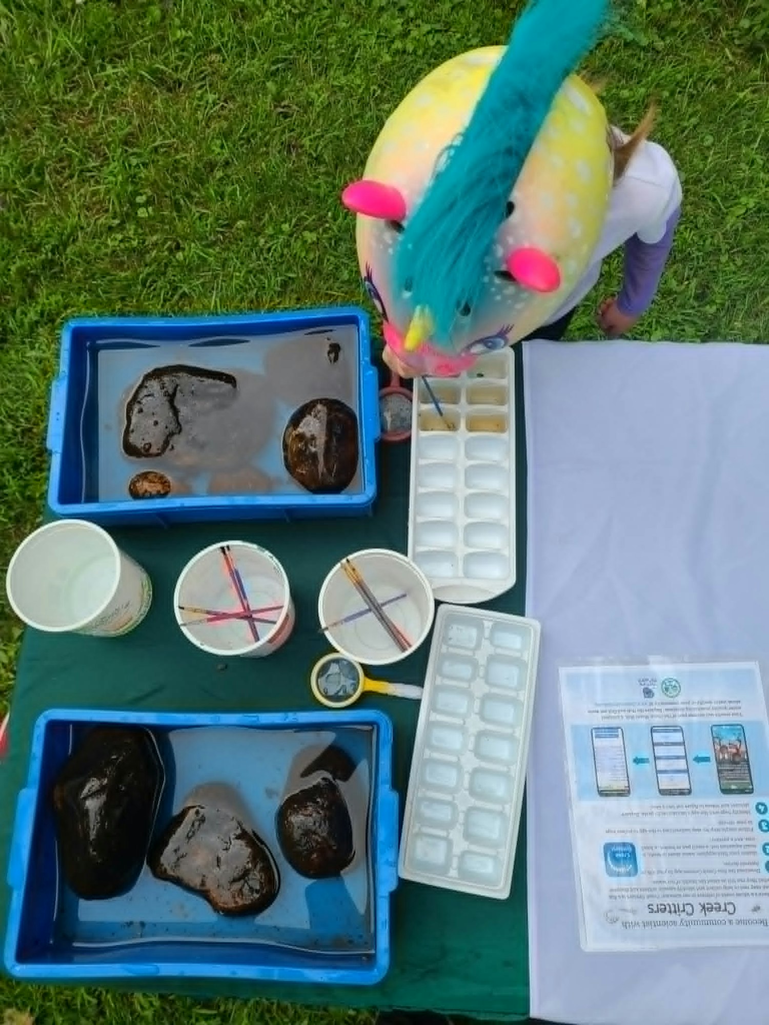 An overhead view of a child in a unicorn hat, experimenting with water, rocks, and colorful cups on a grassy table.