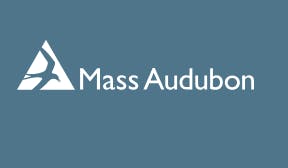 Mass Audubon logo with a bird silhouette and text on a blue background.